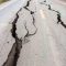 earthquake-banner-s.jpg